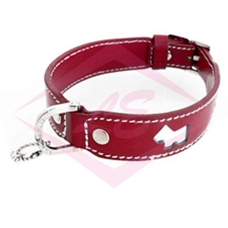 Dogs Collars