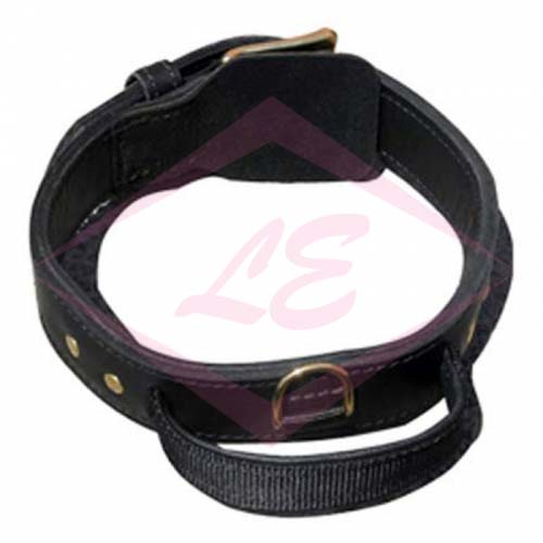 Dogs Collars
