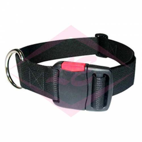 Dogs Collars