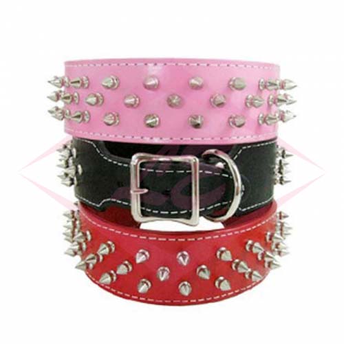 Dogs Collars