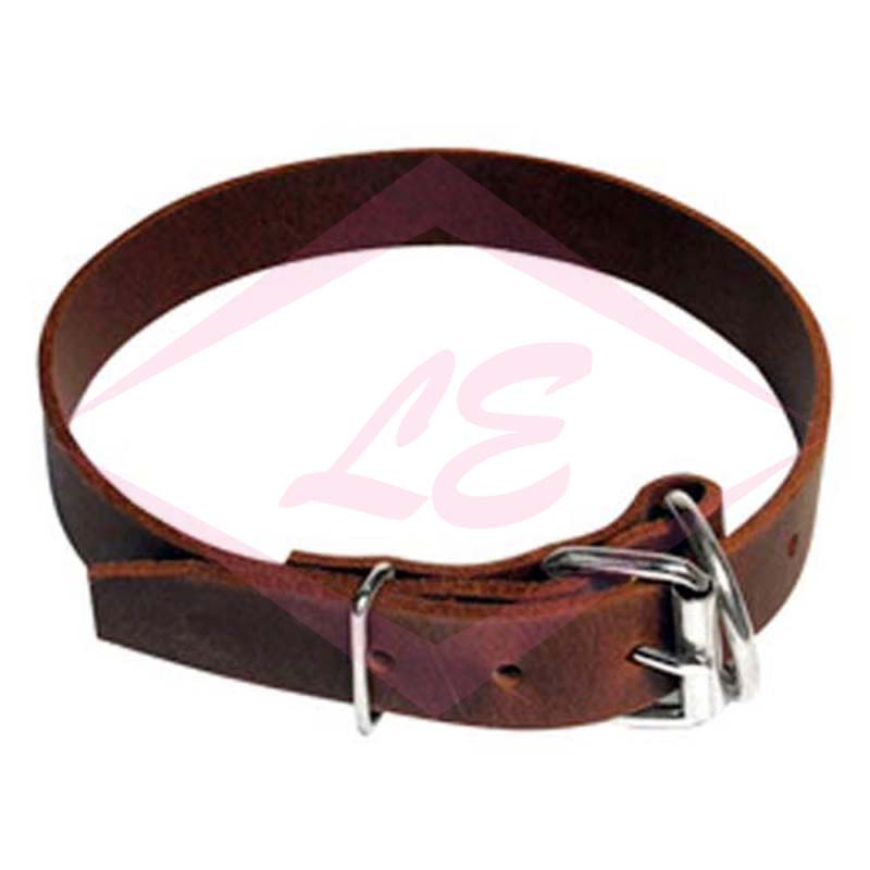 Dogs Collars