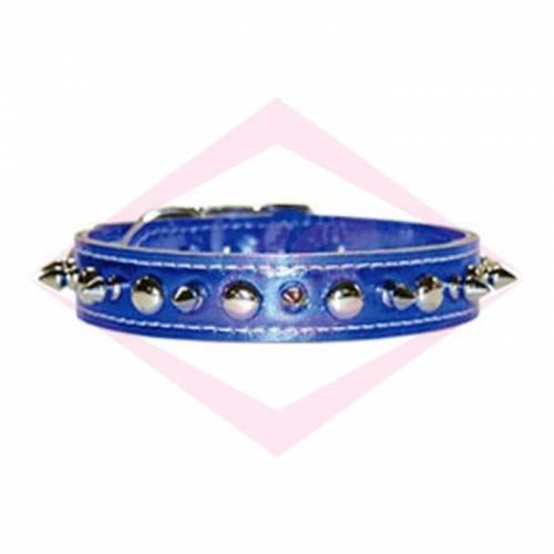 Dogs Collars