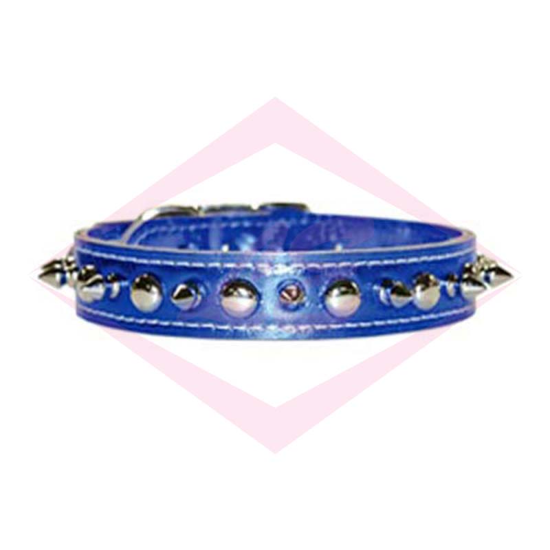 Dogs Collars