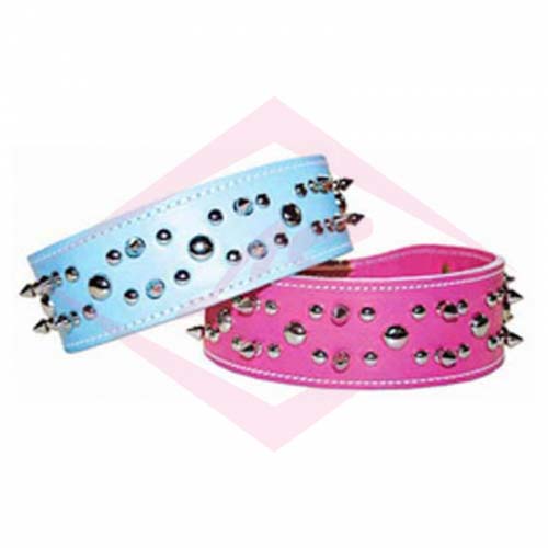 Dogs Collars