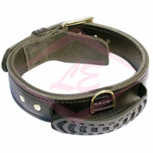Dogs Collars