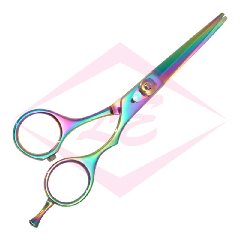 Professional Hair Cutting Scissors
