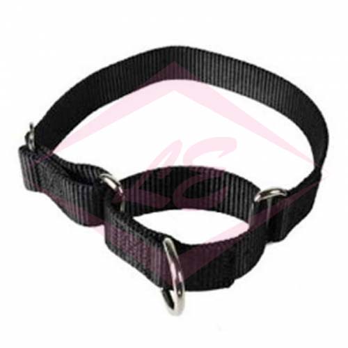 Dogs Collars