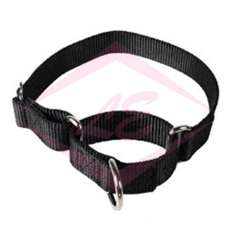 Dogs Collars