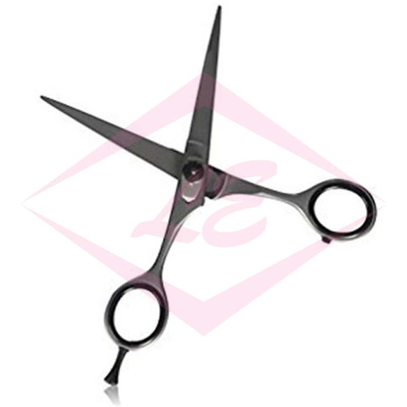 Professional Hair Cutting Scissors