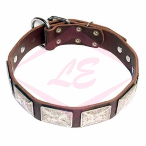 Dogs Collars
