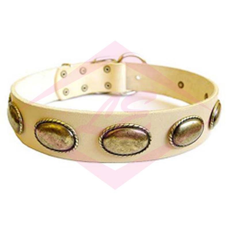 Dogs Collars