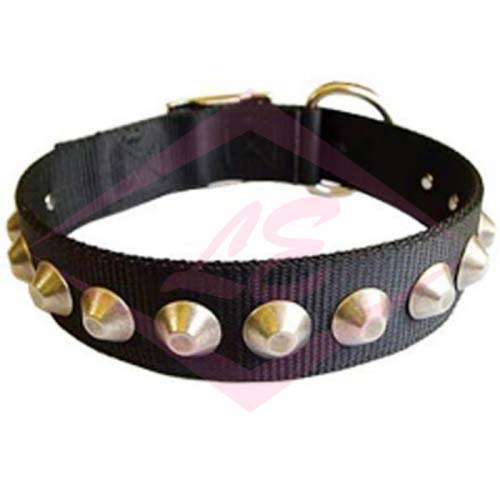 Dogs Collars