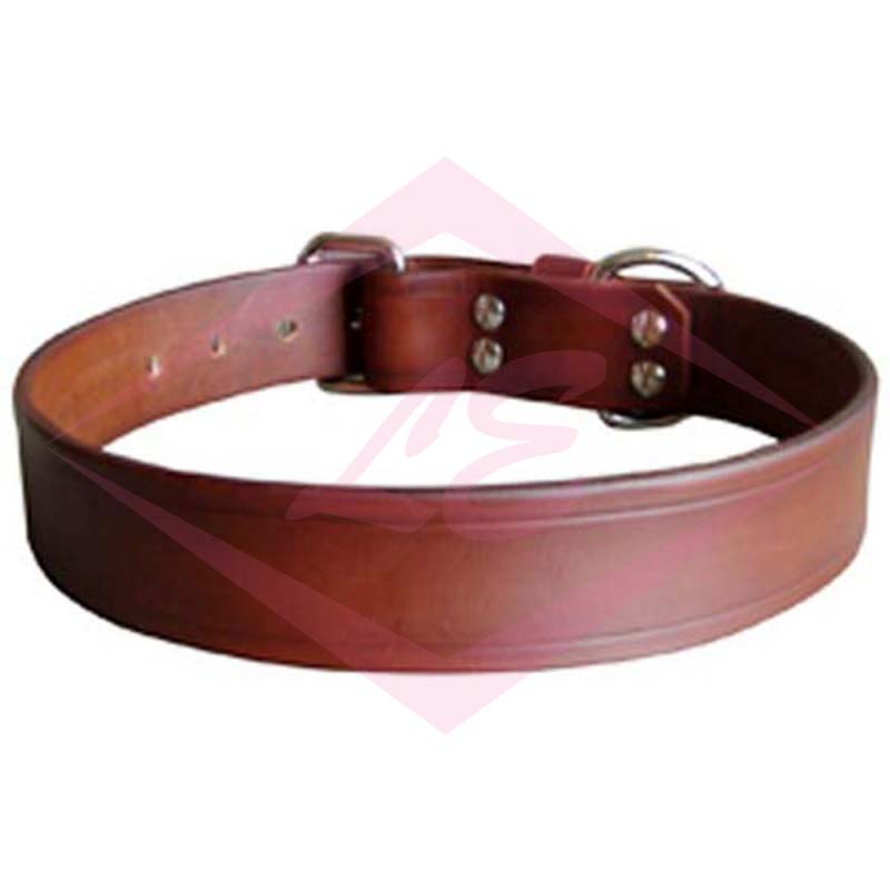 Dogs Collars