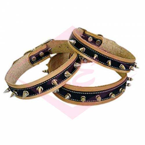 Dogs Collars