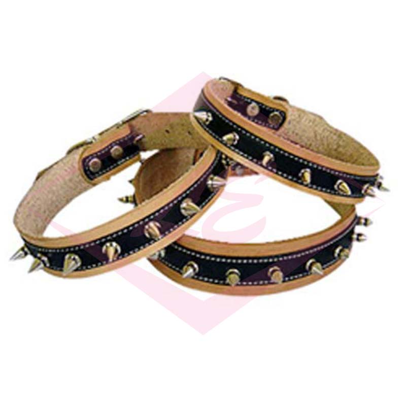 Dogs Collars