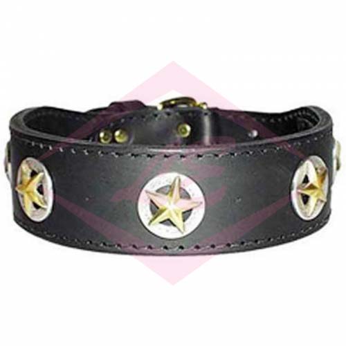 Dogs Collars