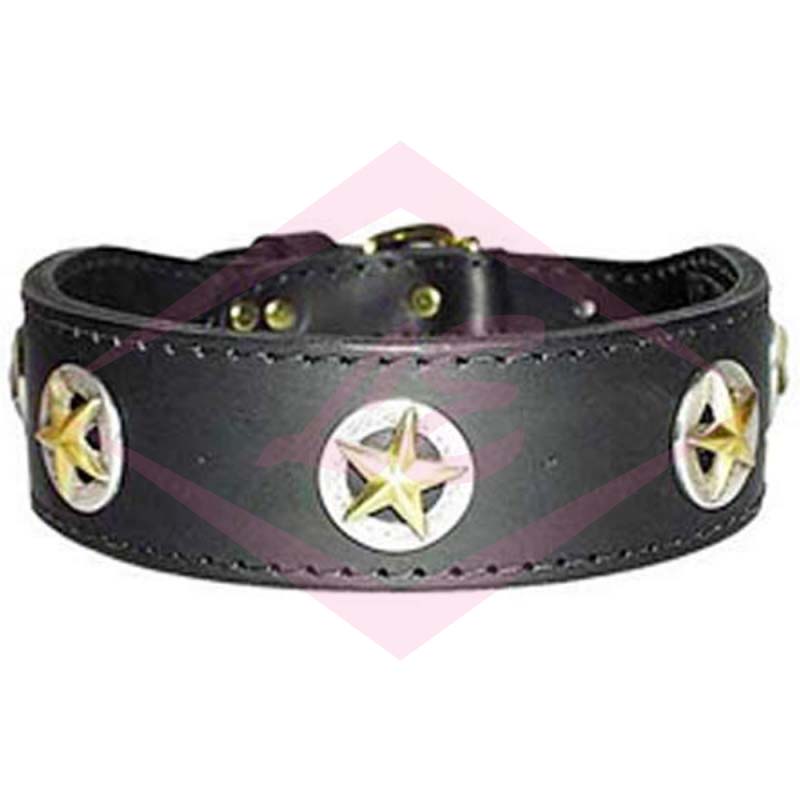 Dogs Collars