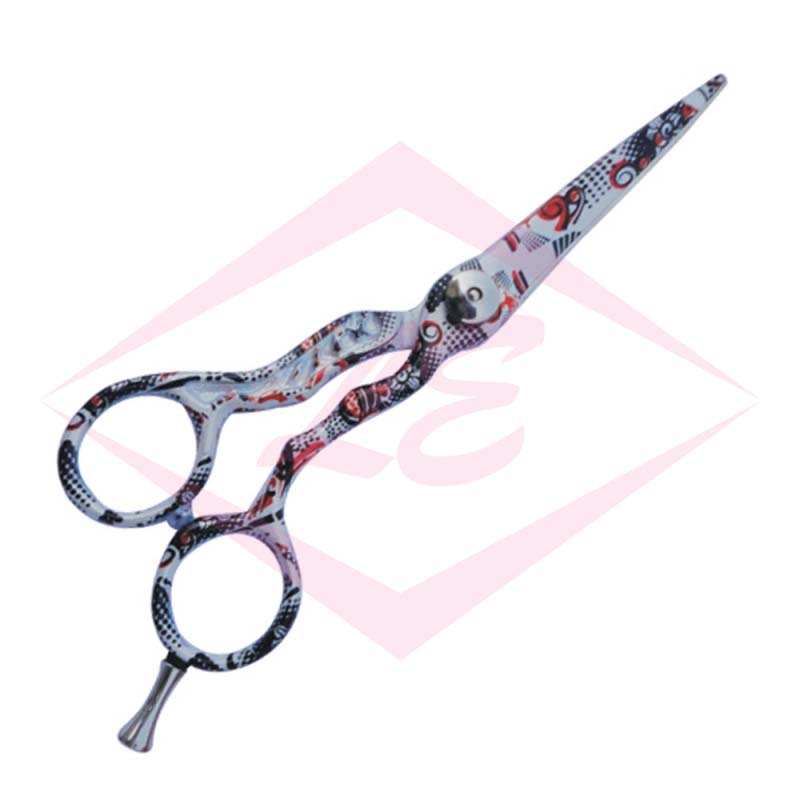 Professional Hair Cutting Scissors
