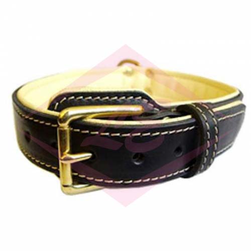 Dogs Collars