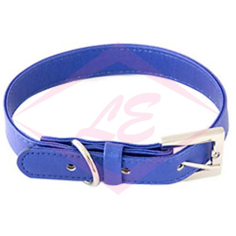 Dogs Collars