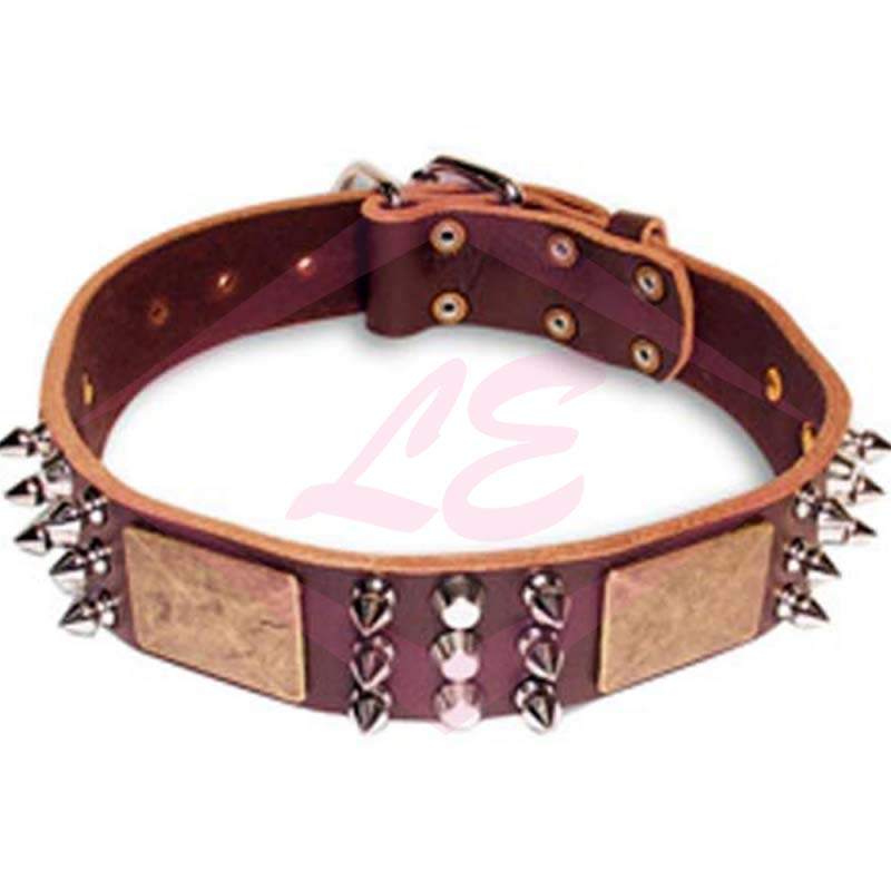 Dogs Collars