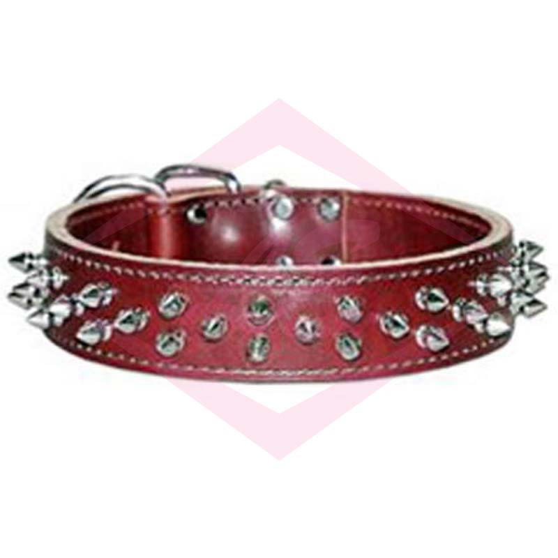 Dogs Collars