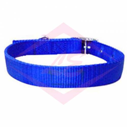 Dogs Collars