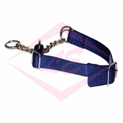 Dogs Collars