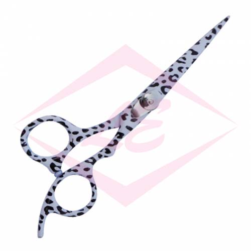Professional Hair Cutting Scissors
