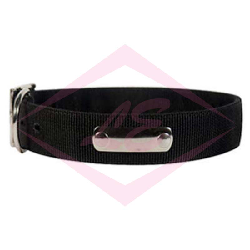 Dogs Collars