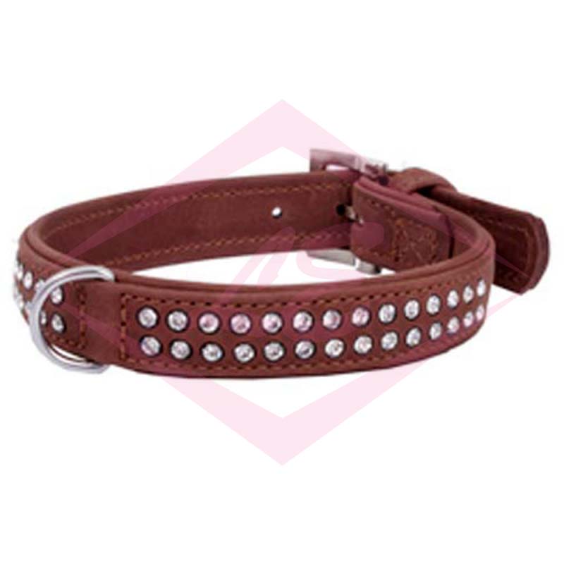 Dogs Collars